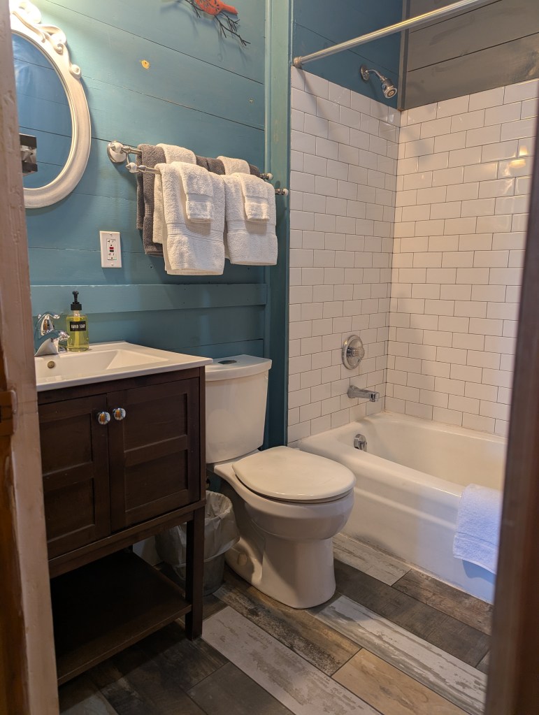 blue bathroom with vanity, toilet and tiled shower