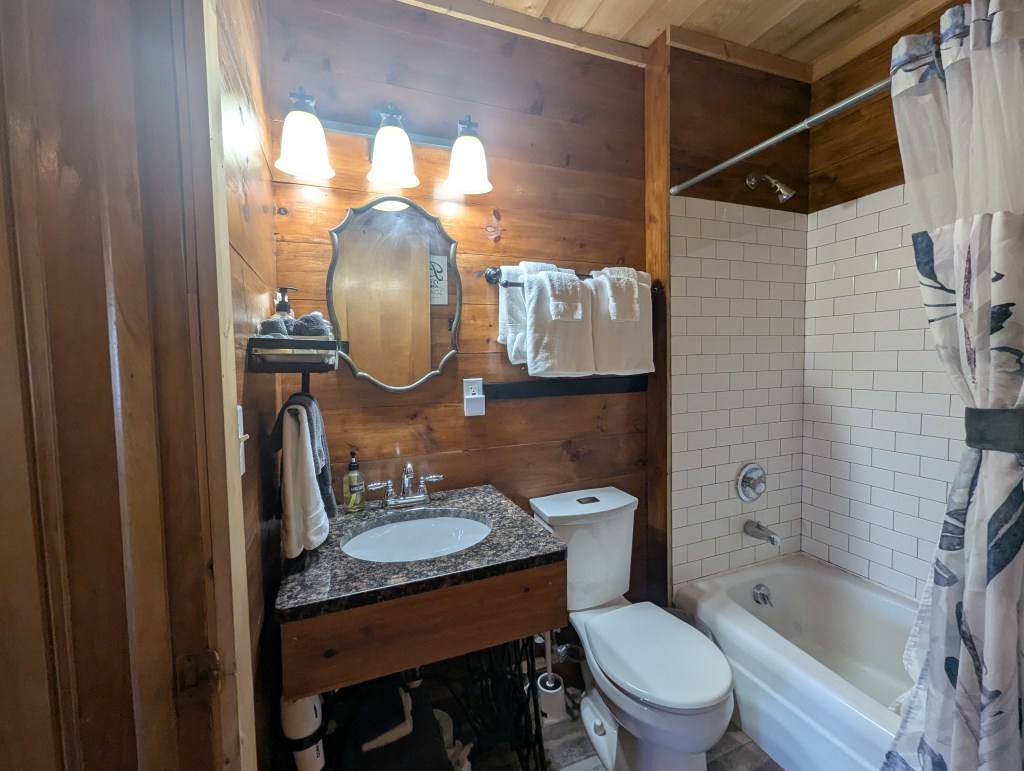 bathroom with vanity, toilet, and tub/shower